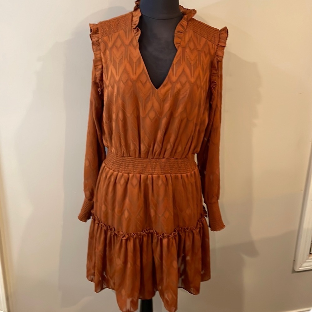 Vintage Style Ruffled Mini Dress - Picture 2 of 13